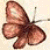 lukidut