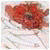 WilliamDerma