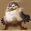 DavidTycle